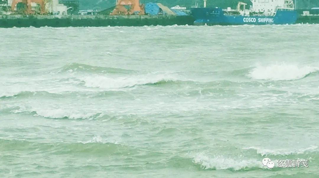 波涛1.jpg