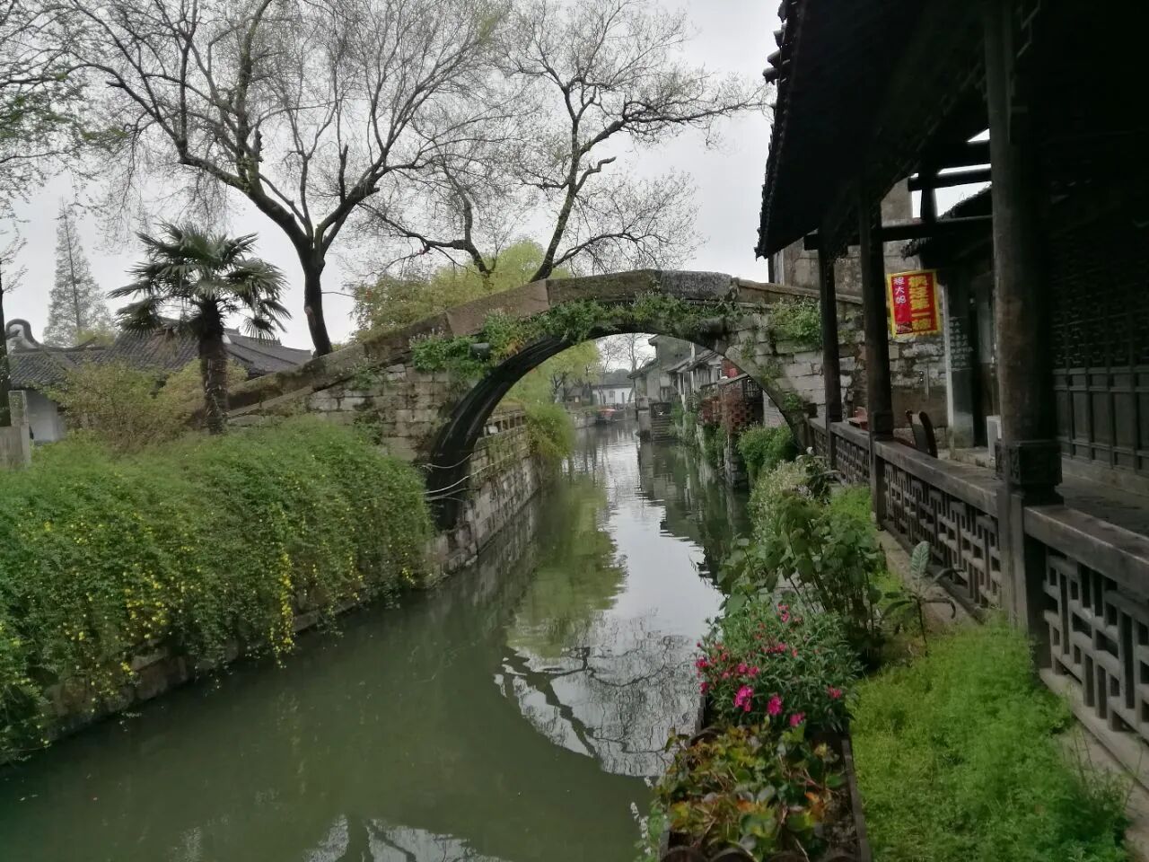 枫泾古镇致合桥