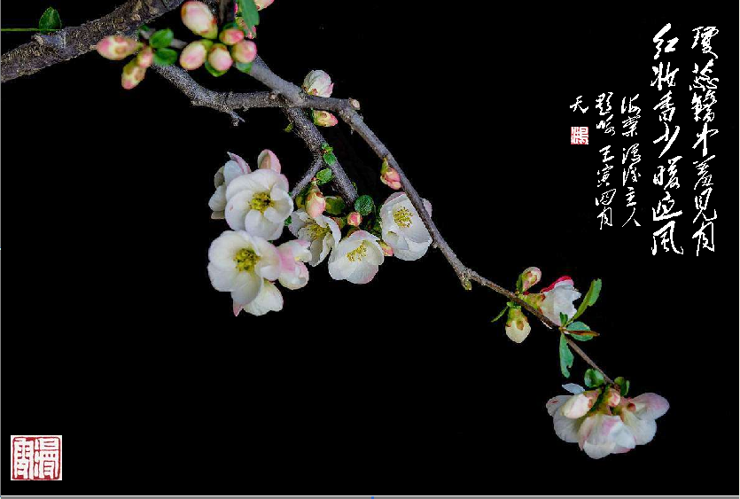 }XY`DDE]2$Y3[P6INSV_}OL.png